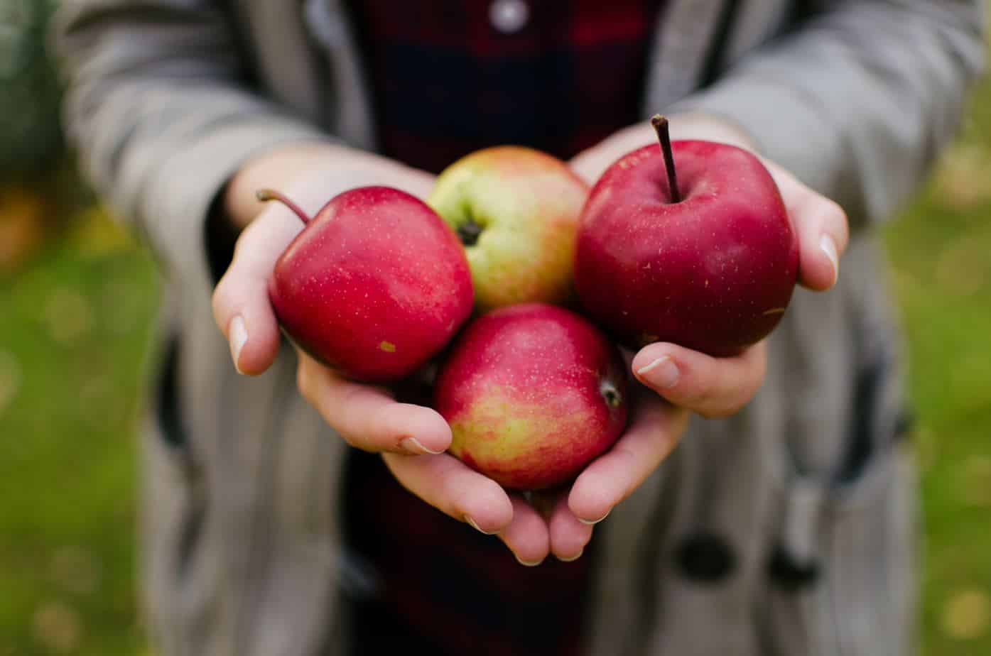 apples for dessert fondue