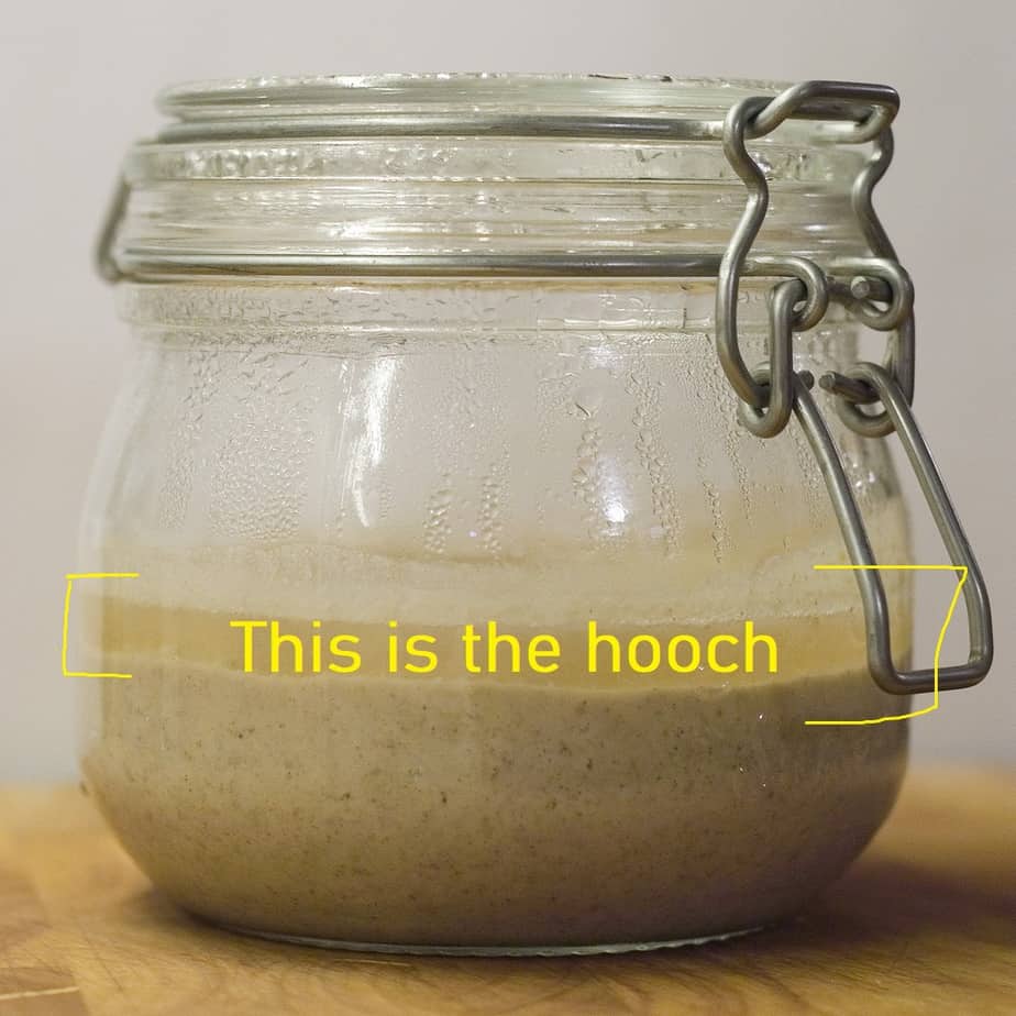 sourdough starter hooch