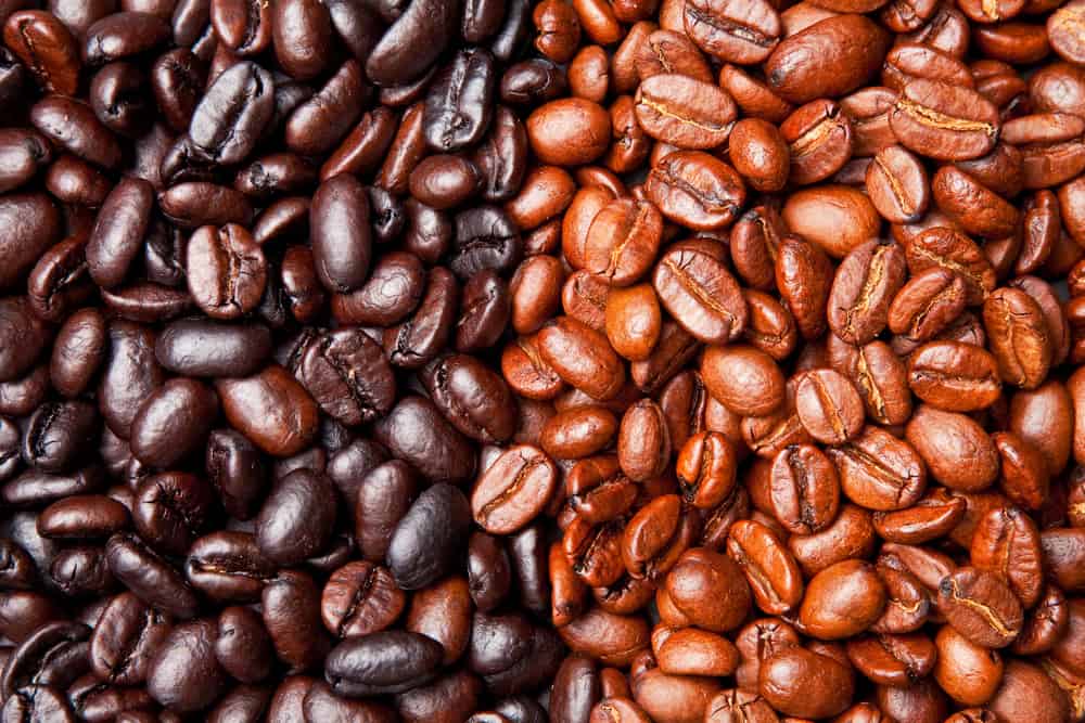 dark roast and light roast coffee beans side by side