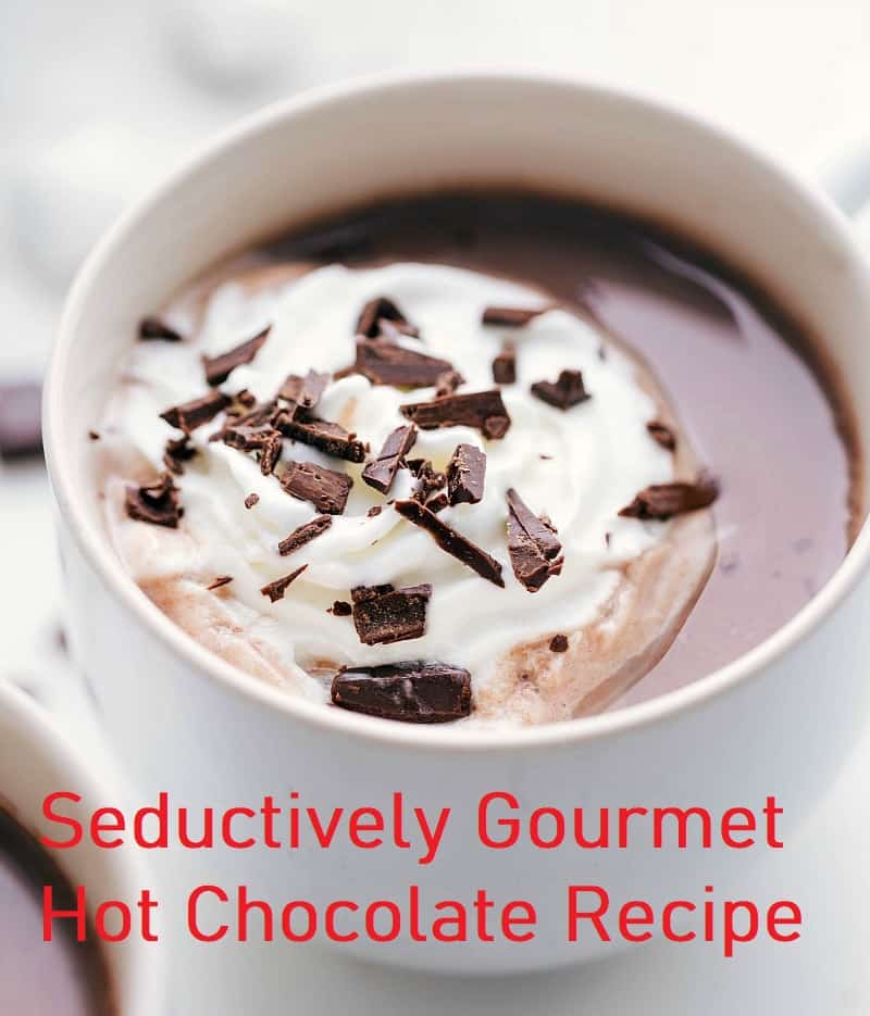 mug of gourmet hot chocolate