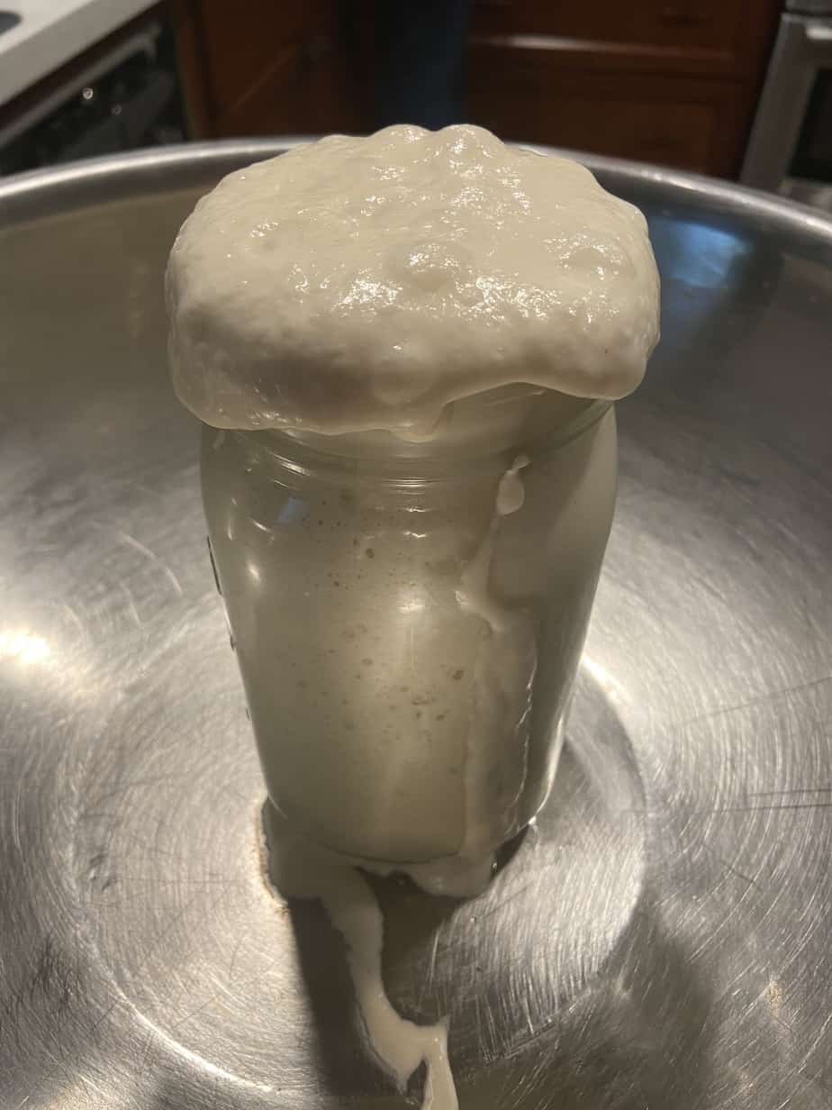 sourdough starter actively foaming