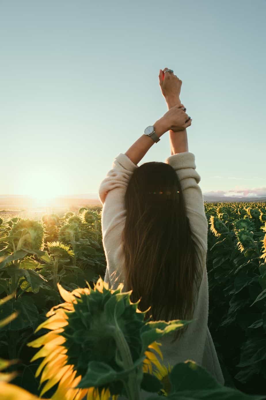 a woman relaxing in a field of sunflowers