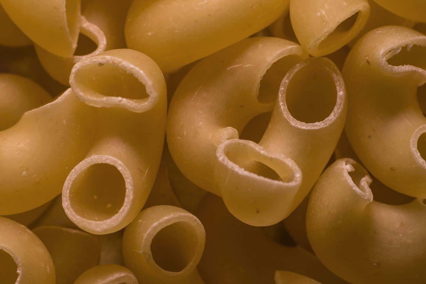 close up image of elbow macaroni noodles