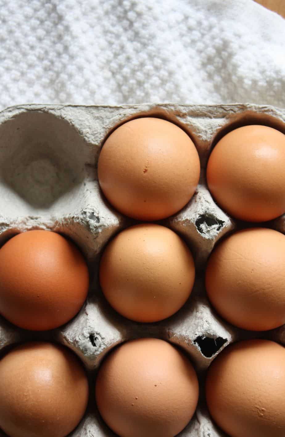 kids should learn how to cook eggs.  Farm fresh eggs in a carton.